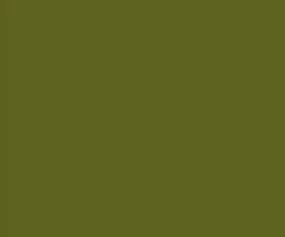 AK Interactive 11335 AFV Series: Nº1 Light Green FS34151 3G Acrylic Paint 17ml B
