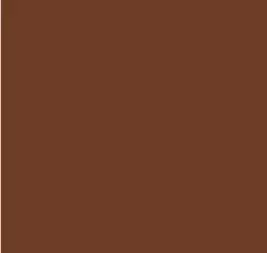 AK Interactive 11338 AFV Series: Nº8 Earth Red FS30117 3G Acrylic Paint 17ml Bot