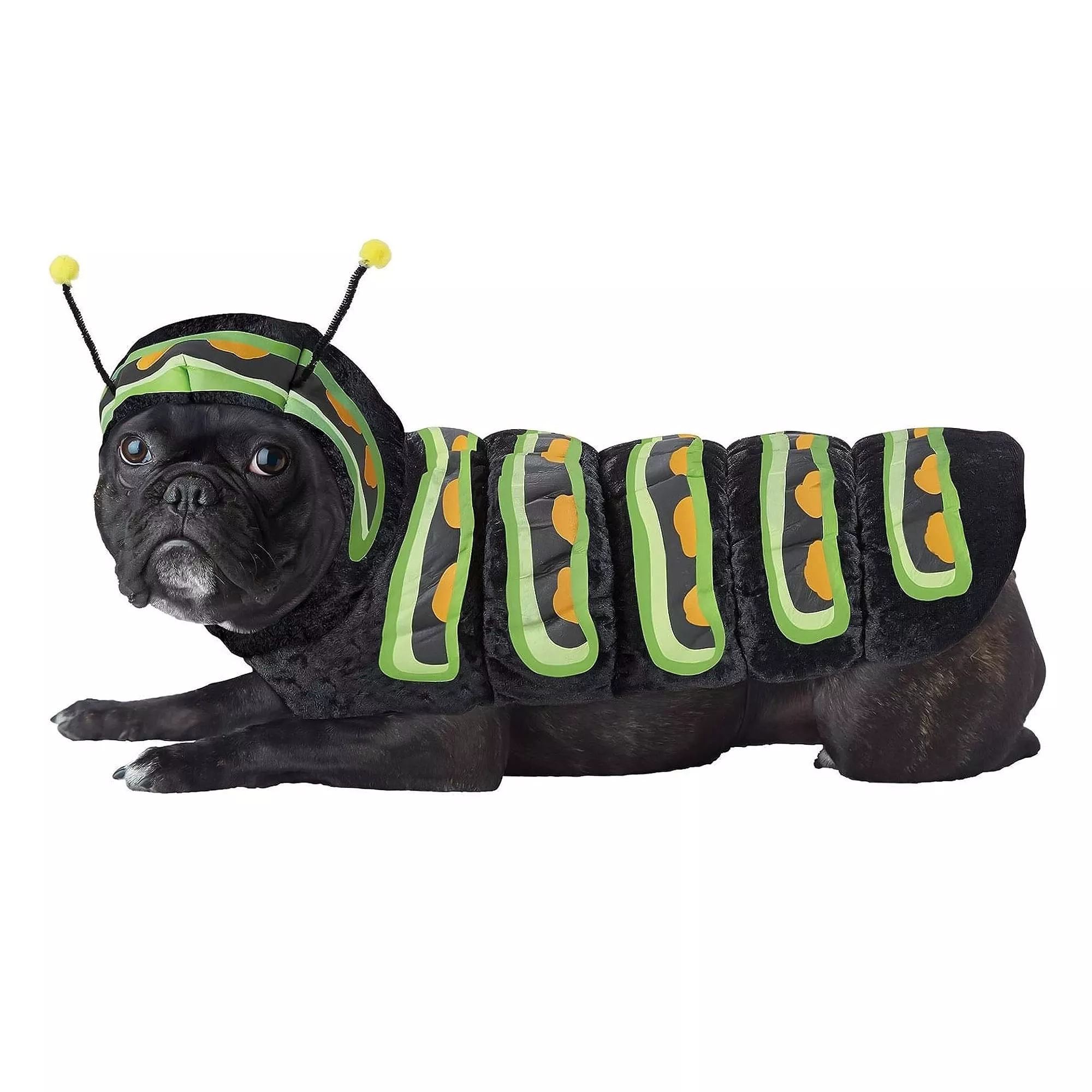 Caterpillar
