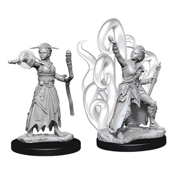 Dungeons and Dragons Human Female Warlock Nolzur's Miniatures