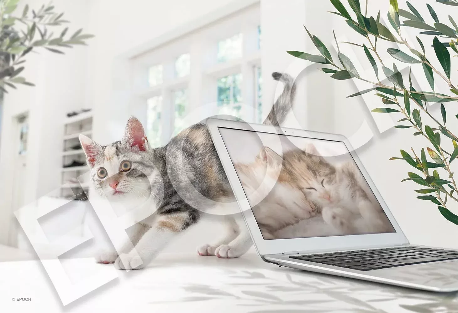 EPOCH 26-370S Jigsaw Puzzle Teleworking Is Over Right Meow! 300 Pieces