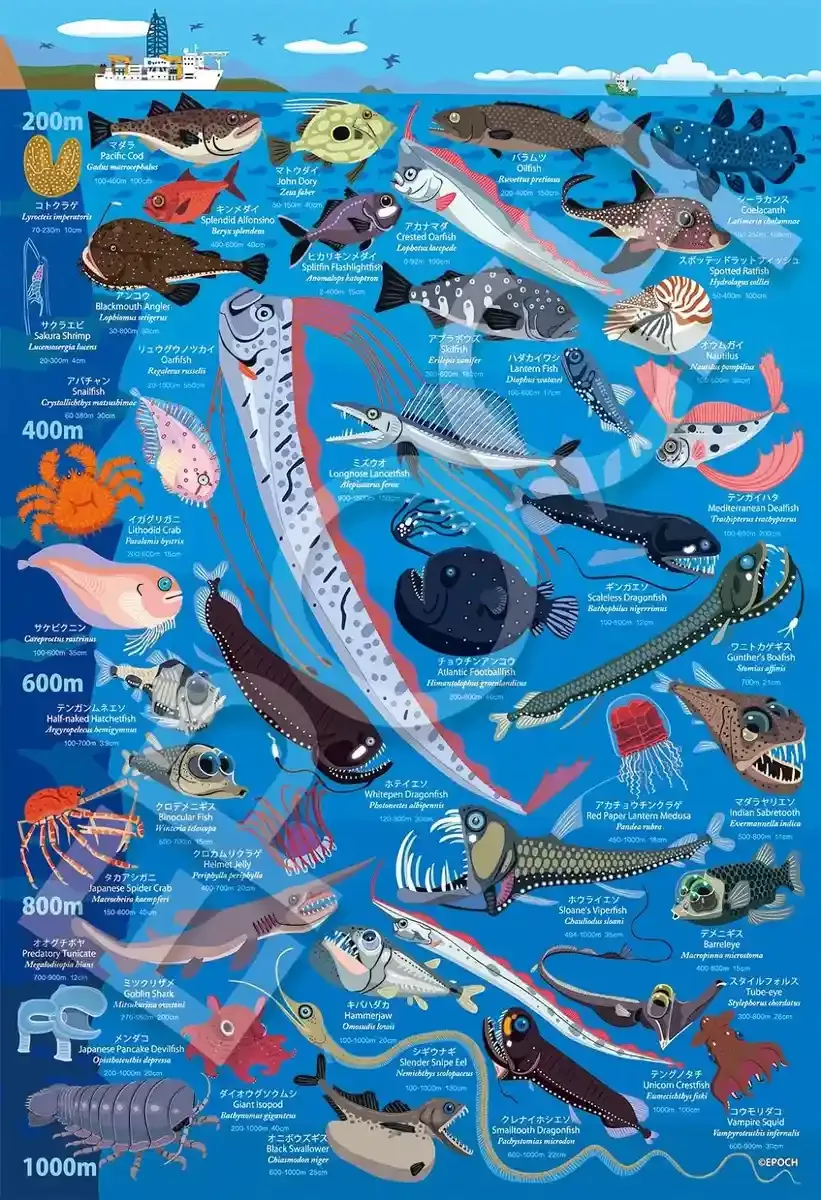 EPOCH 26-807 Jigsaw Puzzle Deep Sea Biological Encyclopedia Water Depth 200M-1000M 100 L-Pieces