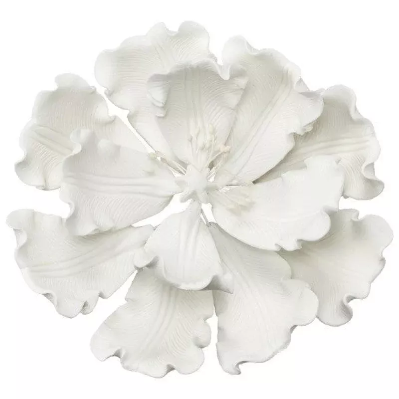 Gum Paste Flowers White Peony Open
