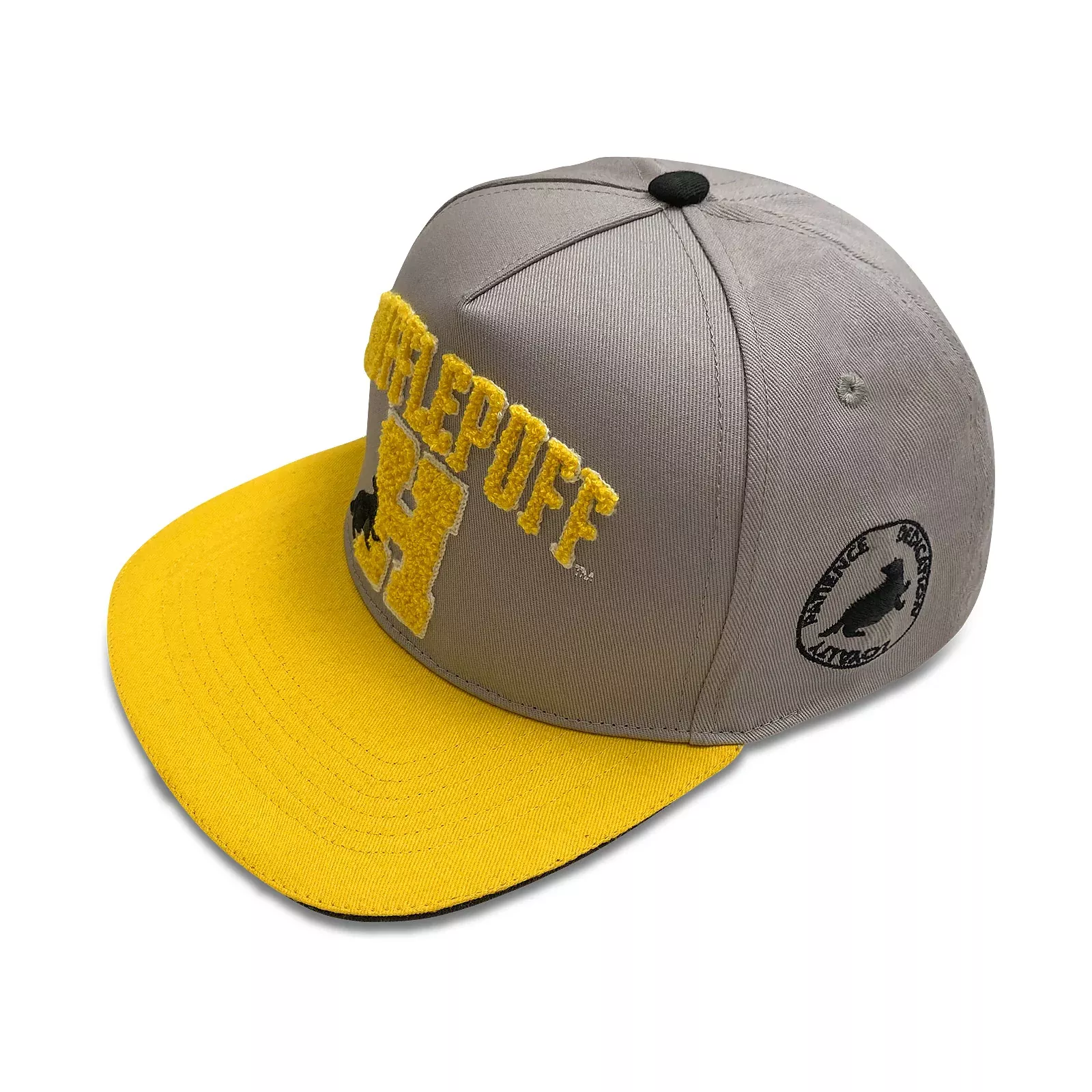 Harry Potter - Hufflepuff Terry Logo Snapback Cap
