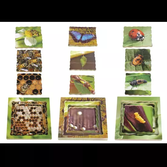 Insect Life Cycles Layered Puzzle – Set of 3