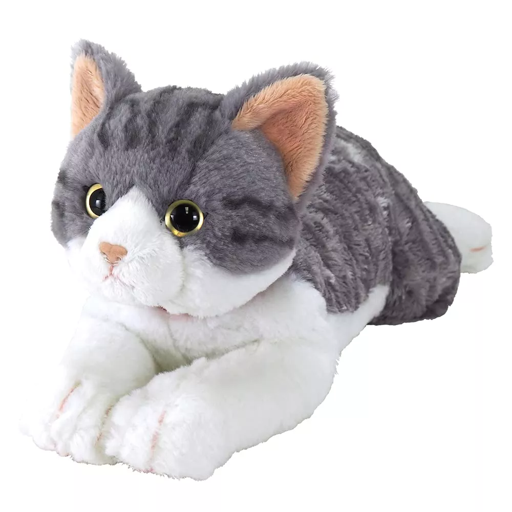 Knee Cat M Sabashiro