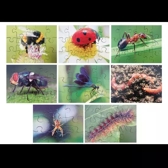 Mini Beasts Puzzles Set of 8