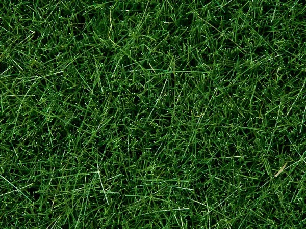 Noch 7106 All Scale Wild Grass - 1-3/4oz 50g -- Dark Green