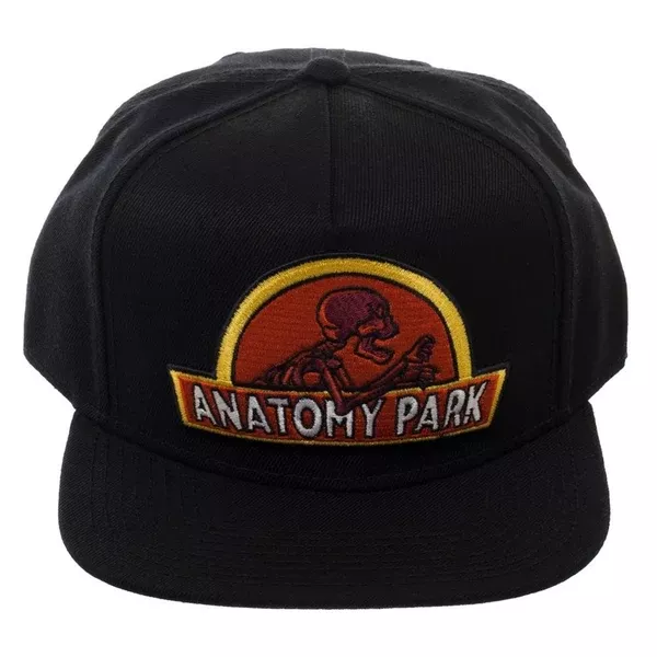 Rick And Morty Anatomy Snapback Hat
