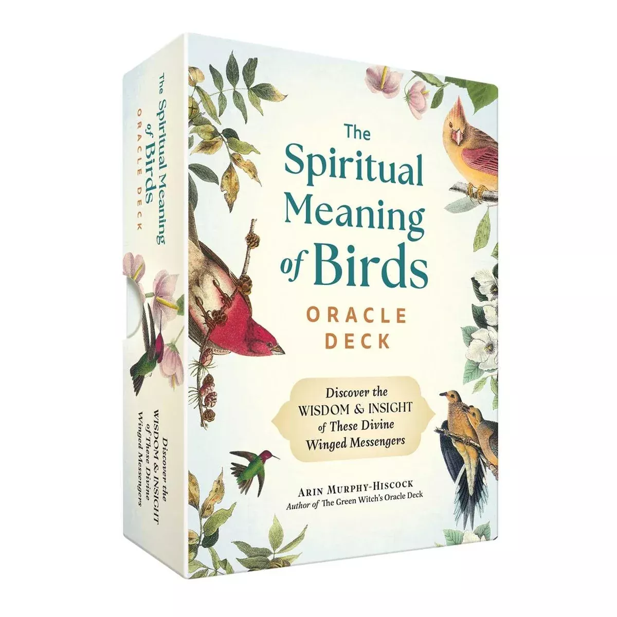 The Spiritual Meaning of Birds Oracle