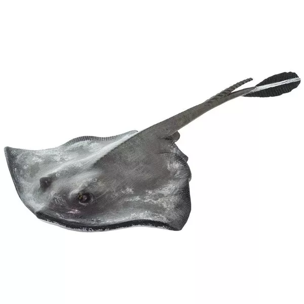 Sting Ray Incredible Creatures Safari Ltd 100507